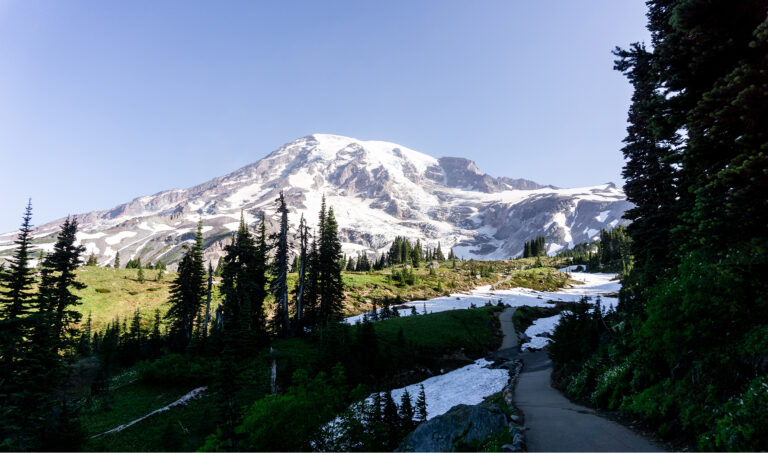 Mount Rainier: Waterfalls, Wildflowers & Skyline Trails