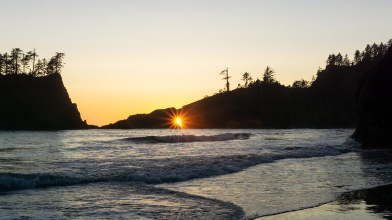 Olympic: Whale Watching & Sea Stack Sunsets